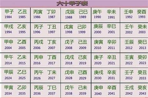 2029年五行|2029年属什么生肖，2029年是什么命